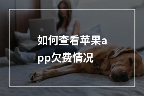 如何查看苹果app欠费情况