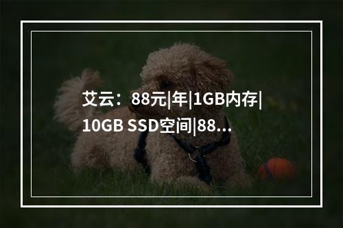 艾云:88元|年|1GB内存|10GB SSD空间|888GB流量|100Mbps-2.5Gbps端口|KVM|圣何塞GTT|洛杉矶GIA