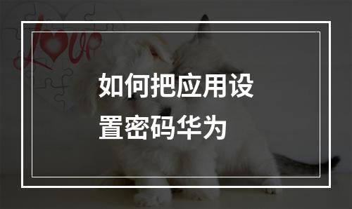 如何把应用设置密码华为