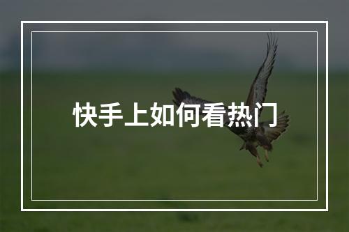 快手上如何看热门