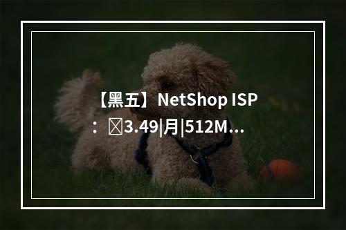 【黑五】NetShop ISP:3.49|月|512MB内存|10GB空间|600GB流量|100Mbps端口|KVM|新加坡|塞浦路斯|马耳他|英国|荷兰等