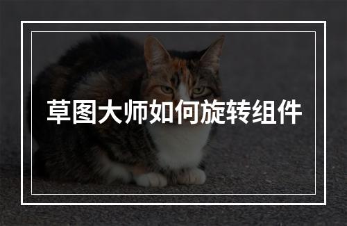草图大师如何旋转组件