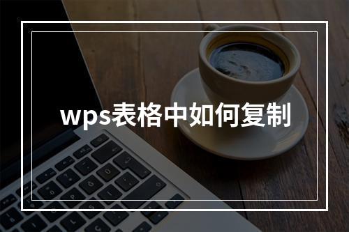 wps表格中如何复制