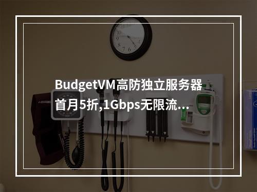 BudgetVM高防独立服务器首月5折,1Gbps无限流量,5个机房41.94美元起(ovh高防服务器)