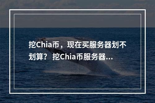 挖Chia币,现在买服务器划不划算? 挖Chia币服务器投资分析