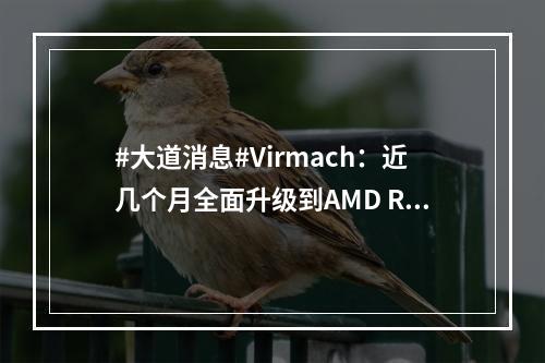 #大道消息#Virmach:近几个月全面升级到AMD Ryzen平台 DDR4和NVMe SSD母机(大道)