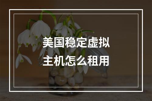 美国稳定虚拟主机怎么租用