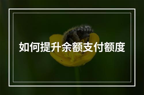 如何提升余额支付额度