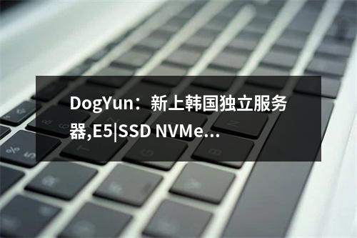 DogYun:新上韩国独立服务器,E5|SSD NVMe优惠后300元|月,自动化上架(韩国服务器测评)
