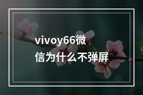 vivoy66微信为什么不弹屏