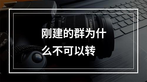 刚建的群为什么不可以转