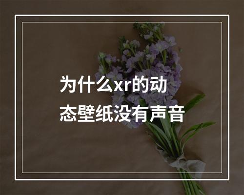 为什么xr的动态壁纸没有声音