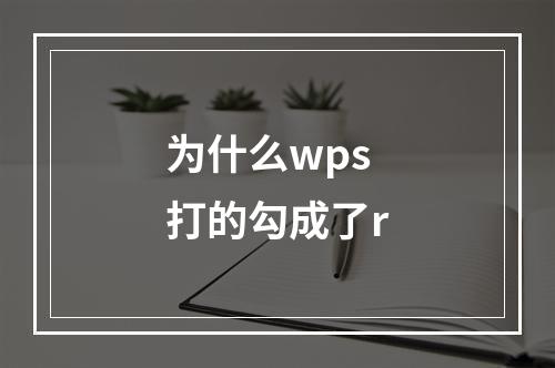 为什么wps打的勾成了r