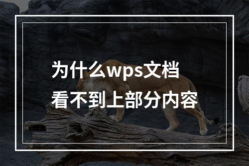 为什么wps文档看不到上部分内容
