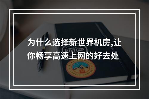 为什么选择新世界机房,让你畅享高速上网的好去处