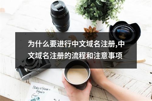 为什么要进行中文域名注册,中文域名注册的流程和注意事项