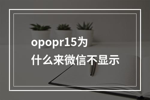 opopr15为什么来微信不显示