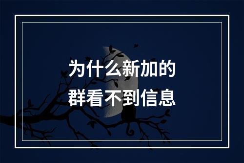 为什么新加的群看不到信息