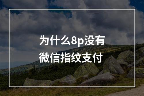 为什么8p没有微信指纹支付