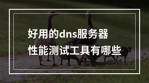 好用的dns服务器性能测试工具有哪些