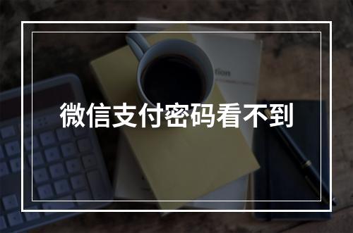 微信支付密码看不到