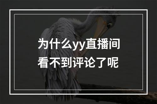 为什么yy直播间看不到评论了呢
