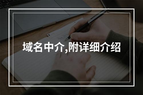 域名中介,附详细介绍