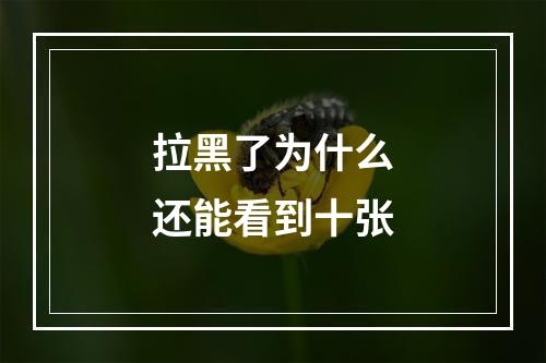 拉黑了为什么还能看到十张
