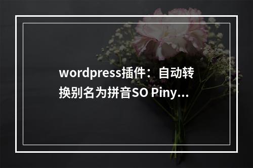 wordpress插件:自动转换别名为拼音SO Pinyin Slugs 中文tag转拼音(wordpress 中文链接转拼音)