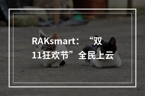 RAKsmart:“双11狂欢节”全民上云