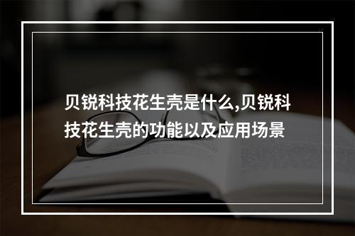 贝锐科技花生壳是什么,贝锐科技花生壳的功能以及应用场景