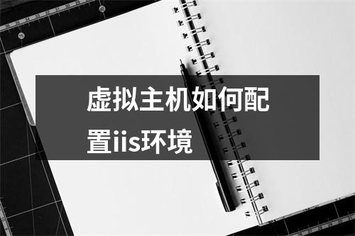 虚拟主机如何配置iis环境