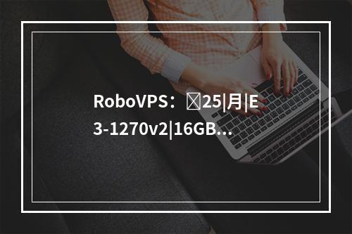RoboVPS:25|月|E3-1270v2|16GB内存|2TB硬盘|10TB流量|1Gbps带宽|荷兰
