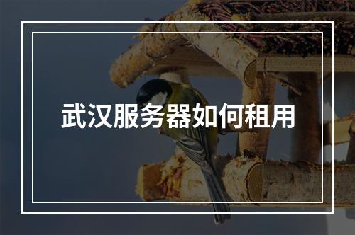 武汉服务器如何租用