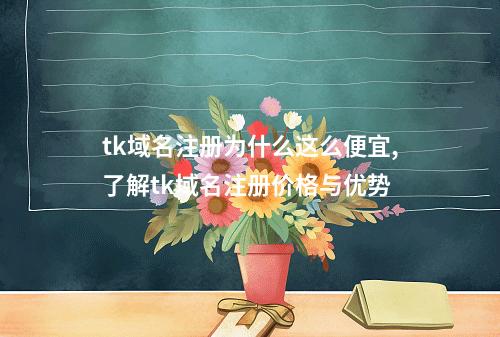 tk域名注册为什么这么便宜,了解tk域名注册价格与优势