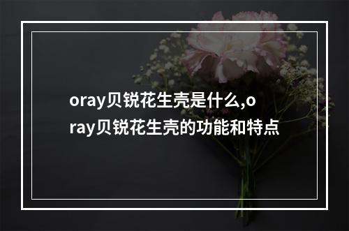 oray贝锐花生壳是什么,oray贝锐花生壳的功能和特点