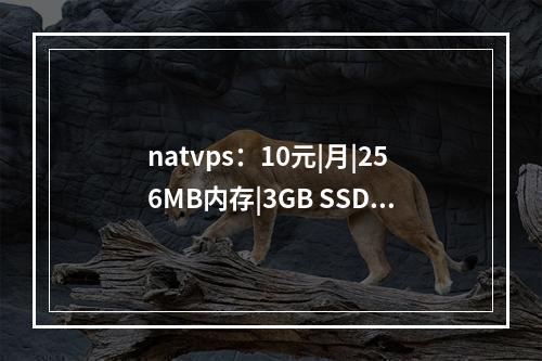 natvps:10元|月|256MB内存|3GB SSD空间|1TB流量|100Mbps端口|共享IP|KVM|泉州移动