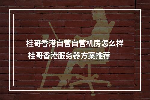 桂哥香港自营自营机房怎么样 桂哥香港服务器方案推荐