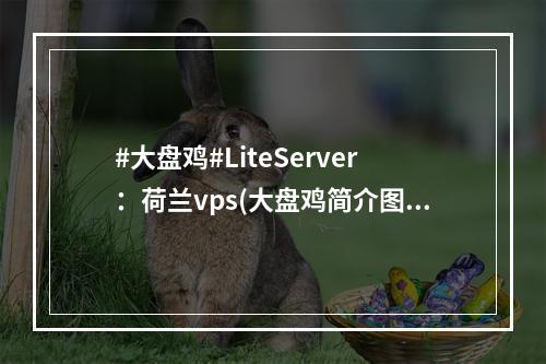 #大盘鸡#LiteServer:荷兰vps(大盘鸡简介图片)(国外大盘鸡vps)