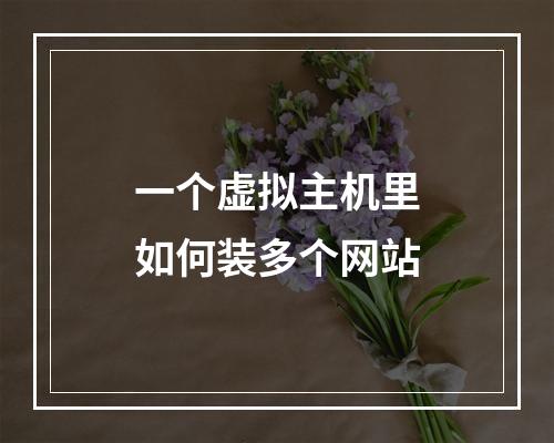 一个虚拟主机里如何装多个网站