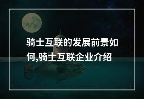 骑士互联的发展前景如何,骑士互联企业介绍