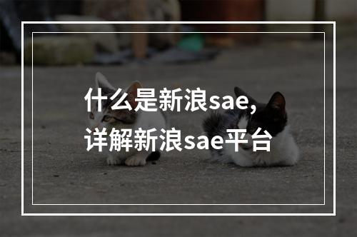什么是新浪sae,详解新浪sae平台