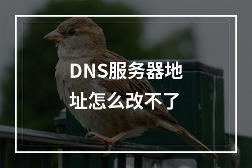 DNS服务器地址怎么改不了