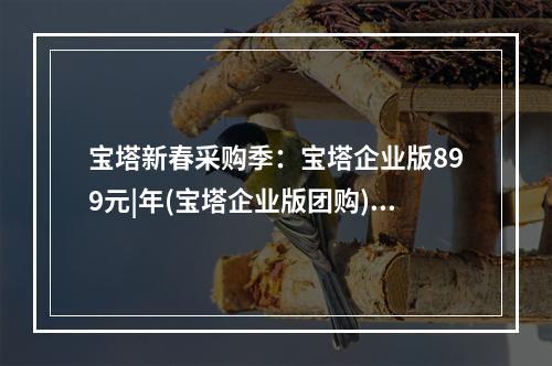 宝塔新春采购季:宝塔企业版899元|年(宝塔企业版团购)(宝塔企业版有什么用)