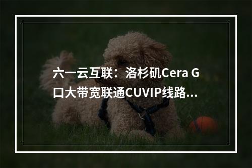 六一云互联:洛杉矶Cera G口大带宽联通CUVIP线路200M干满不限速不拉跨三网AS4837