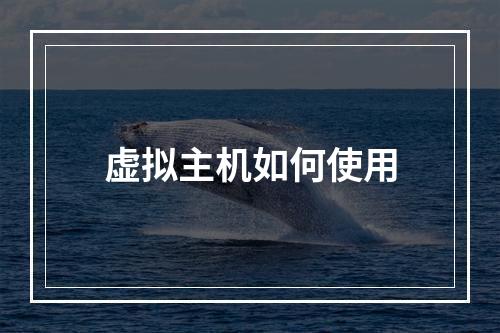 虚拟主机如何使用