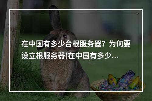 在中国有多少台根服务器?为何要设立根服务器(在中国有多少台进口索八)