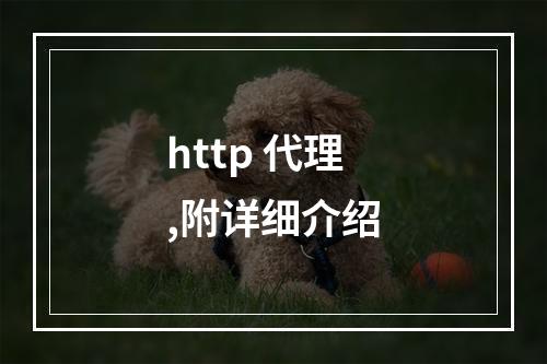 http 代理,附详细介绍