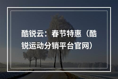酷锐云:春节特惠(酷锐运动分销平台官网)