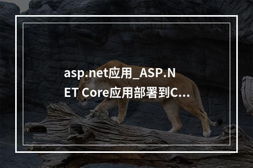 asp.net应用_ASP.NET Core应用部署到CAE